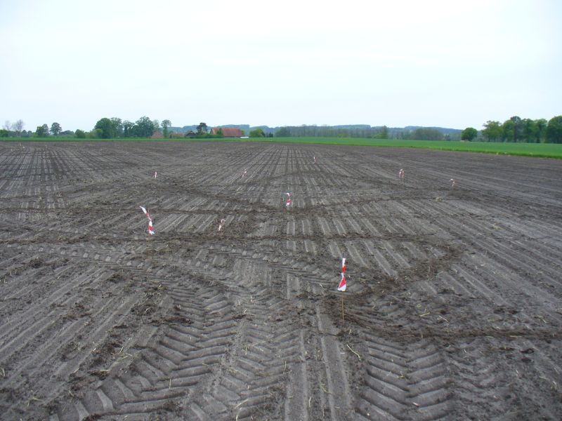 Maislabyrinth Venne 2014 - Fotogalerie - 3 von 100