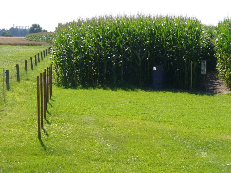 Maislabyrinth Venne 2014 - Fotogalerie - 81 von 100